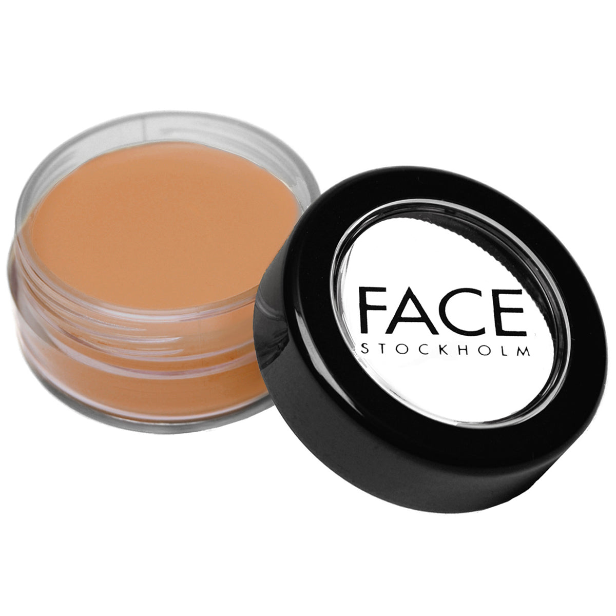 Picture Perfect Foundation - F