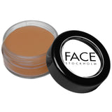 Picture Perfect Foundation - O
